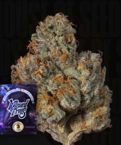 Big Ben Wizard Trees Seeds Kaufen Online Deutschland
